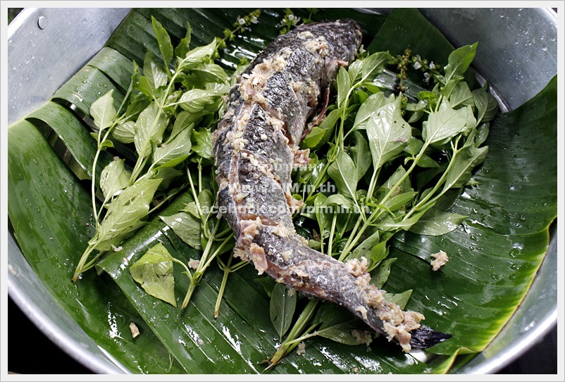 steamed fish with thai herbs 05