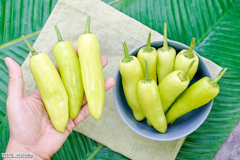 stuffed banana pepper with pork 08