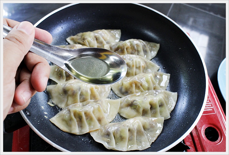 vegetarian gyoza 113