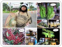 http://pim.in.th/images/pim-travel/goto-chaiyaphum/5/goto-chaiyaphum5-42.jpg